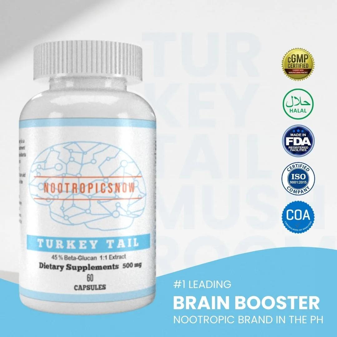 Turkey Tail Mushroom